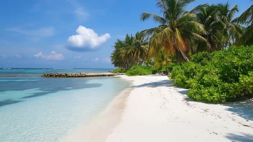 Pristine Tropical Shoreline with Palm Grove and Crystalline Waters