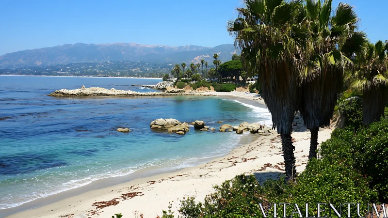 Coastal beach with palm trees and rocky formations.