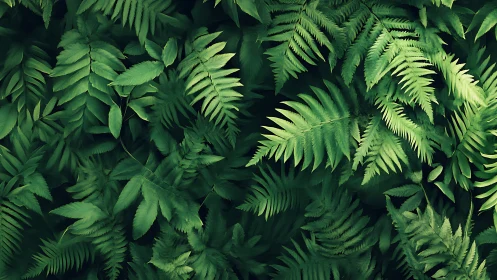 Fern chorus in layered emerald whispers of forest calm.