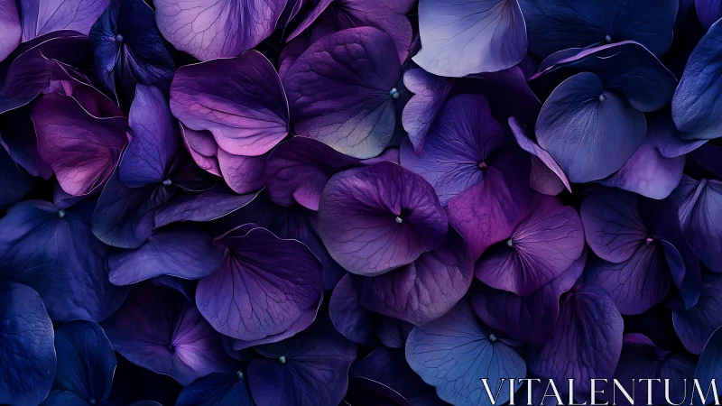 Purple and blue flower petals arranged in dense overlapping composition.