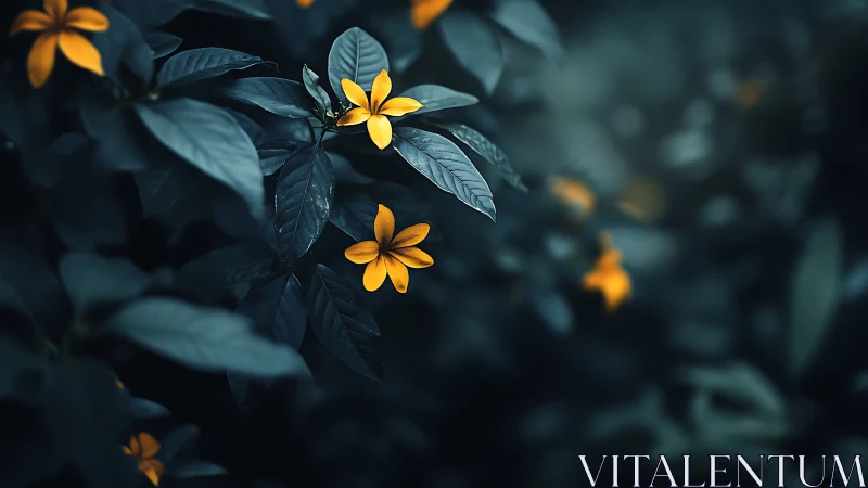 Golden Flowers Bloom Against Deep Teal Foliage