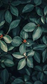 Botanical leaf matrix with isolated orange inflorescences.