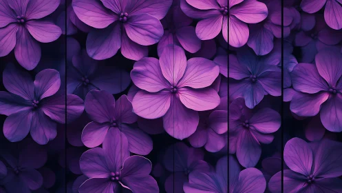 Purple Petals Layered in Dimensional Floral Depth.