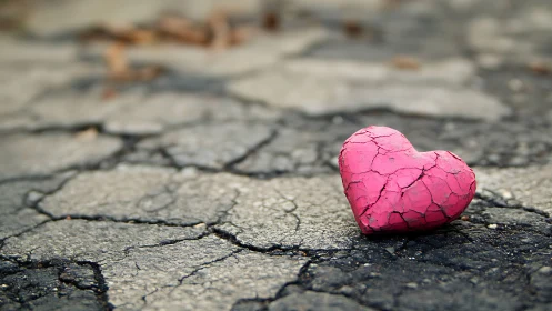 Pink Heart Rests Gently on Cracked, Parched Earth