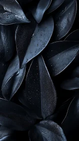 Midnight foliage glistens with dewy droplets in soft light