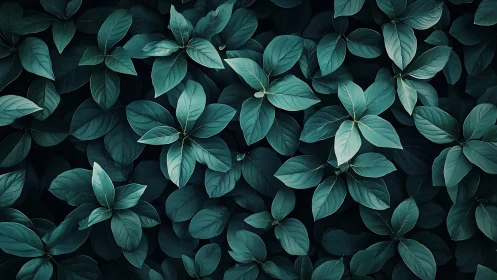 Gentle teal leaves creating a calming garden embrace.
