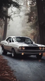 White classic muscle car on wet forest road in foggy light.
