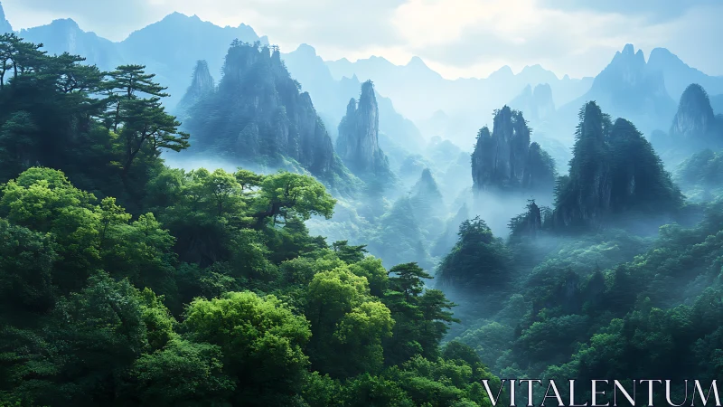 Karst mountain landscape with dense forest vegetation and atmospheric haze