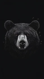 Digital frontal portrait of a bear head on black background