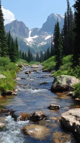 Mountain creek cutting through pine forest toward snowy peaks.