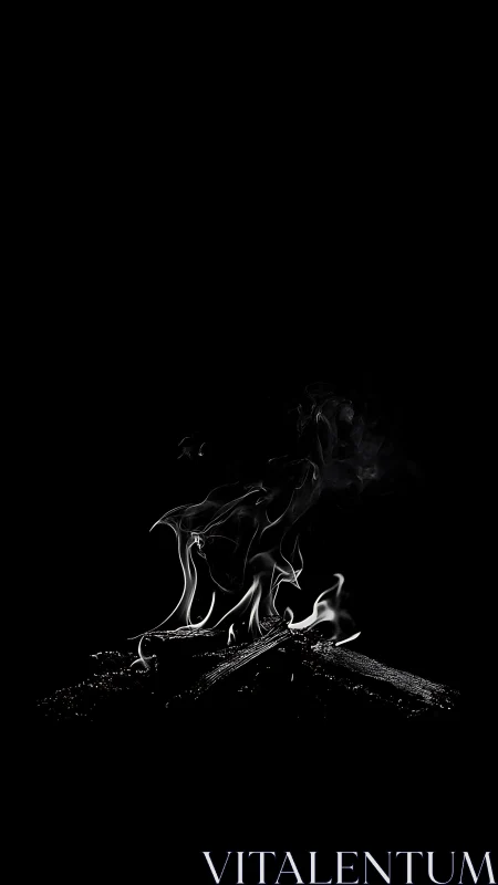 Flames Rising from Burning Branch Against Black.