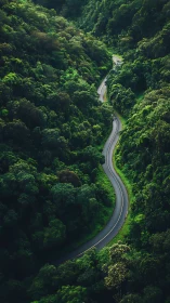 Serpentine Pathway Cuts Through Emerald Wilderness