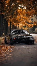 Lowered black BMW sedan on quiet autumn tree lined road.