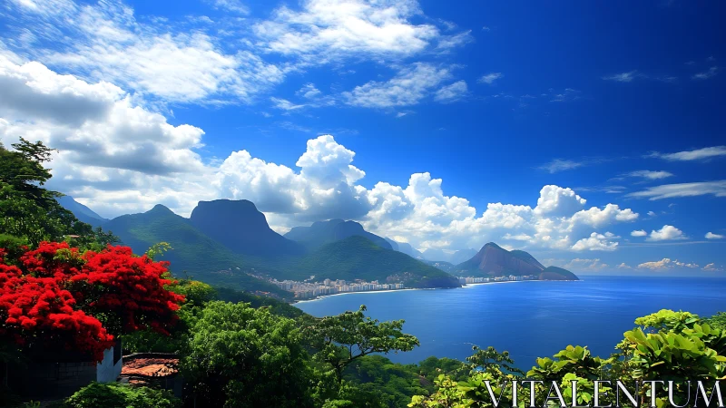 Tropical Paradise: Where Red Flowers Meet Crystal Waters.