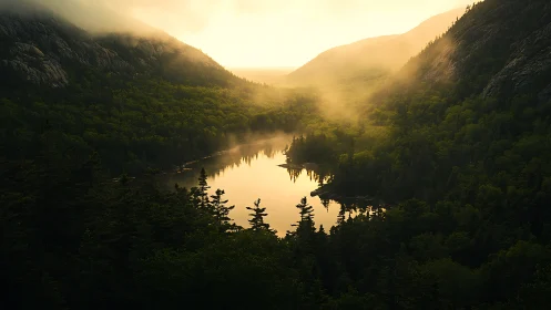 Golden mist rolls over a tranquil forest lake at sunrise