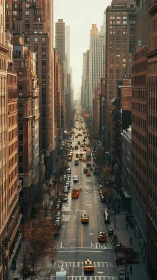 Autumn city avenue framed by tall sunlit high‑rises.