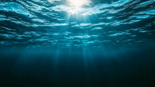 Sunlit underwater ocean surface with deep blue water.