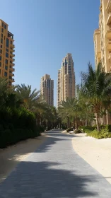 Urban high-rise towers framed by palm-lined pedestrian path.