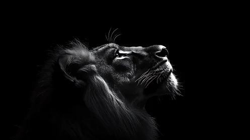 Side profile of lion head rendered in high contrast lighting