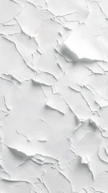 Torn plaster islands quietly drift across a white sea