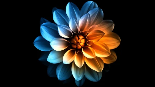 Triadic luminescent dahlia rendered with radiant gradient transitions