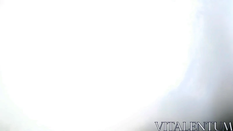 Soft glowing light washes the frame in gentle white haze.