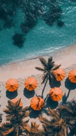 Aerial beach view with palm trees and bright orange umbrellas.