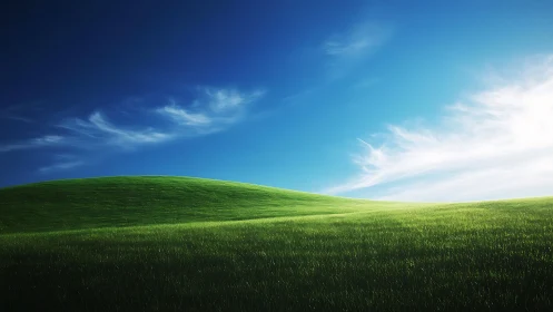 Gentle green hillside beneath a deep, quietly glowing sky.