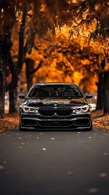 Black luxury sedan centers under saturated autumn canopy