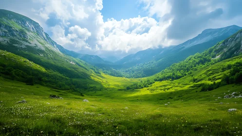 Sunlit valley bowl cradles whispering emerald mountains