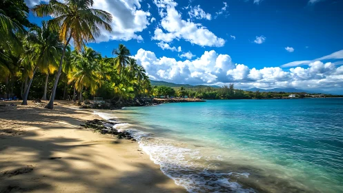 Turquoise Paradise Beach with Palm Trees and Mountain Views