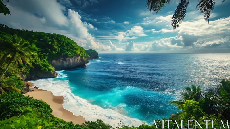 Tropical Coastal Landscape with Beach and Vegetation