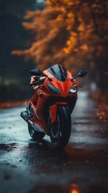 Rain-soaked sport motorcycle on reflective autumn roadway.