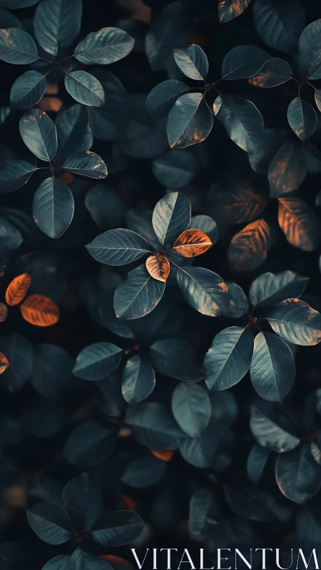 Midnight leaves with ember-kissed edges in quiet glow.