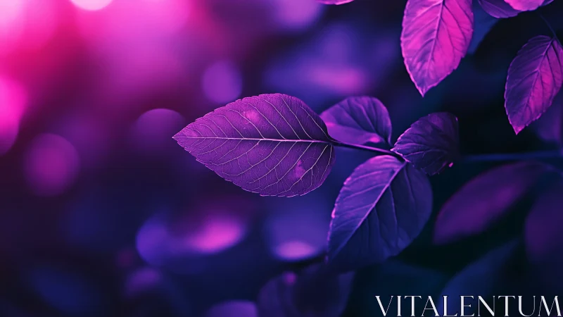 Single neon leaf glows against blurred magenta bokeh field