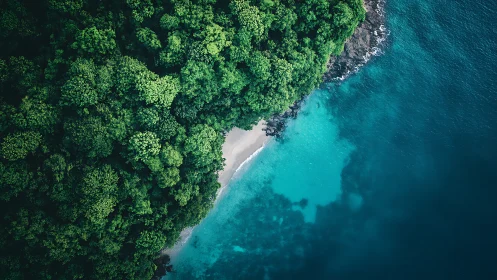 Emerald Forest Kisses Turquoise Paradise.