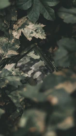 Camouflage fabric panel partially obscured by oak foliage