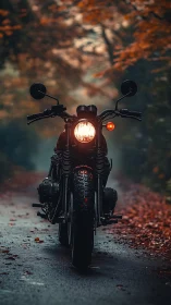 Motorcycle headlight glows on misty autumn forest road.