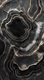 Concentric dark stone cross-section shows layered mineral rings