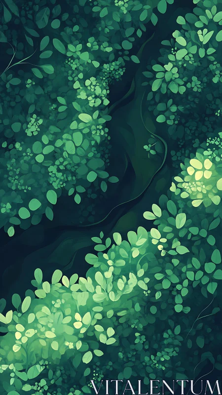 Aerial view of vegetation corridors with winding river path.