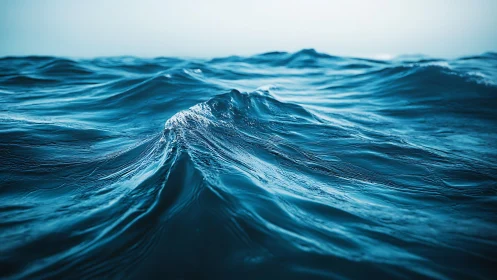 Detailed blue ocean surface with rolling mid-size waves.