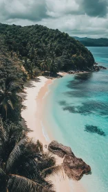 Tropical Coastline: Pristine Beach and Dense Palm Canopy.