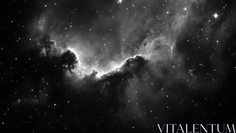 Monochrome nebula ridge glowing through dense starfield.