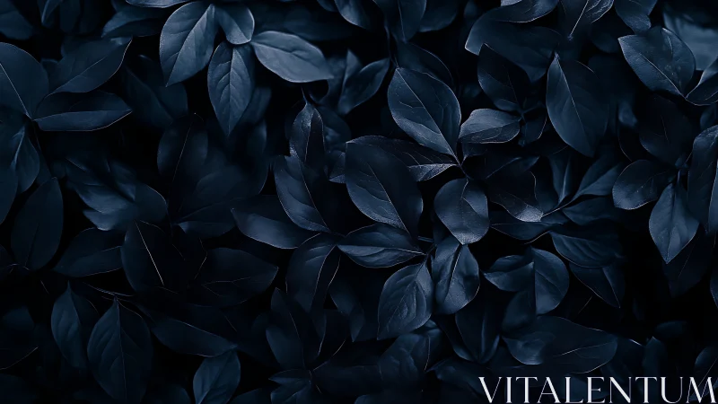 Low-key close-up foliage with high-contrast blue tonality and gloss