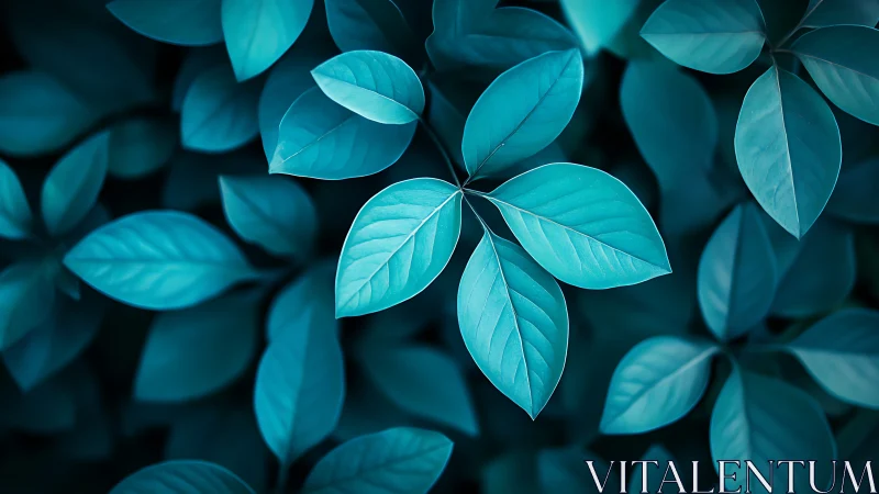 Close-up of teal leaves in soft natural light.