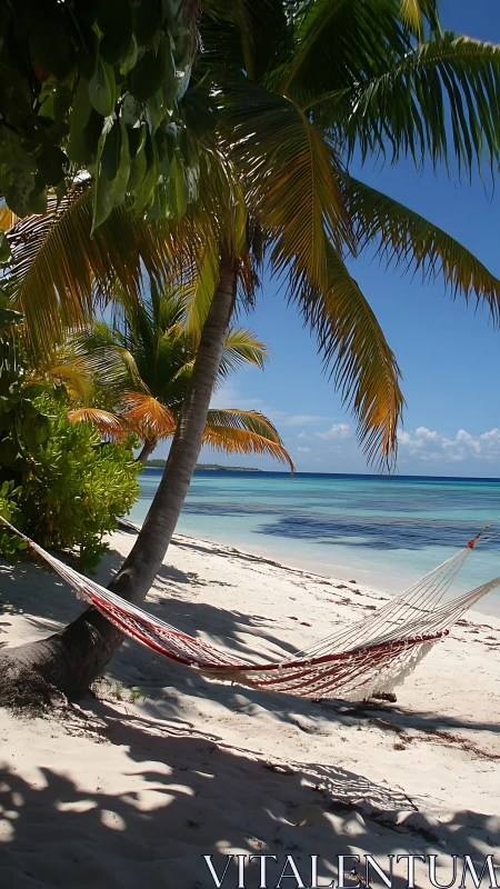 Tropical Beach Hammock Under Palm Trees