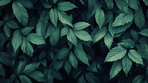 Lush emerald foliage study in moody low key botanical lighting.