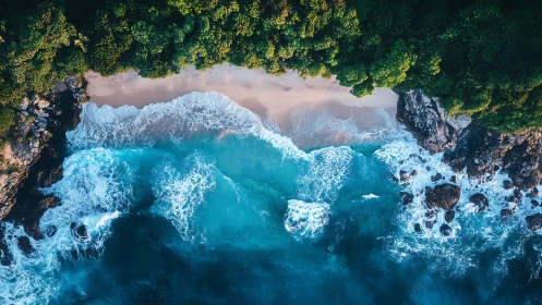 Vertical drone coastline study with waves, sand and foliage