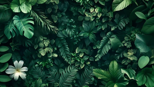 Lush tropical foliage forms a serene, immersive green canopy