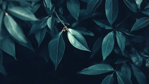 Moody dark green leaves in artistic nature photography style.